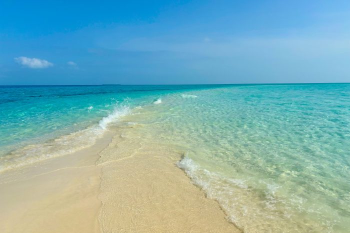 Prison Island and Sandbank (Nakupenda Trip)